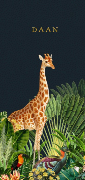 Jungle geboortekaartje met giraffe en zebra