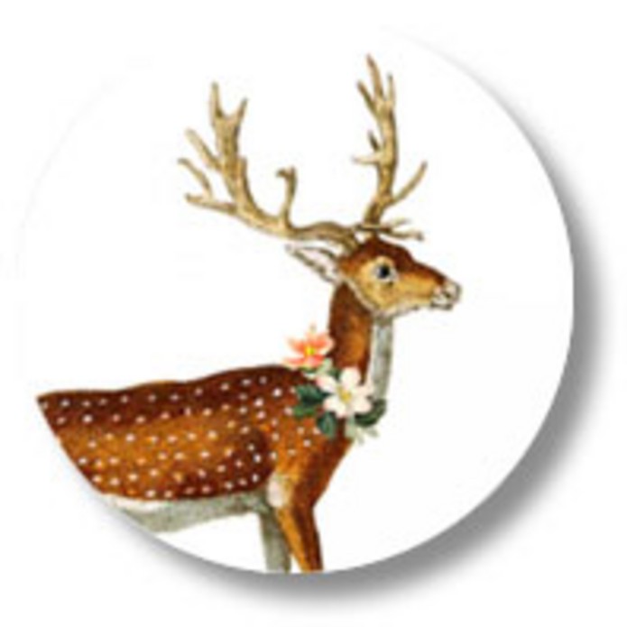 Sluitsticker hert