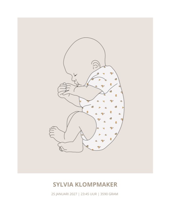 Birth Poster