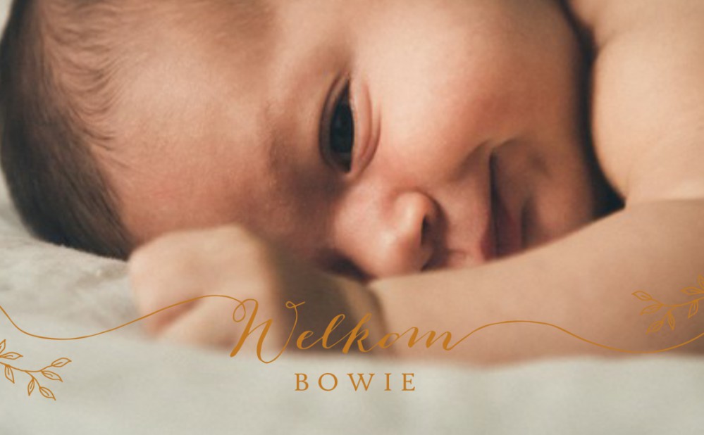 Klassiek geboortekaartje met foto. De typografie met 'Welkom' maakt het een ècht design kaartje! Kleine botanische takjes erbij en jouw klassieke foto geboortekaartje met een twist is een feit. Prachtige papiersoorten en enveloppen beschikbaar. Vraag eens