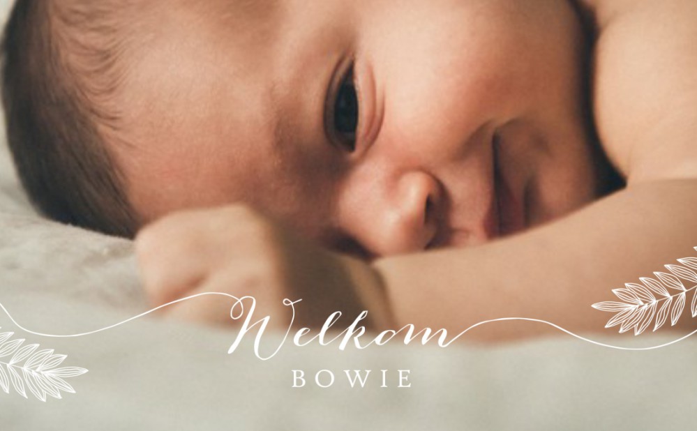 Klassiek geboortekaartje met foto. De typografie met 'Welkom' maakt het een ècht design kaartje! Kleine botanische takjes erbij en jouw klassieke foto geboortekaartje met een twist is een feit. Prachtige papiersoorten en enveloppen beschikbaar. Vraag eens