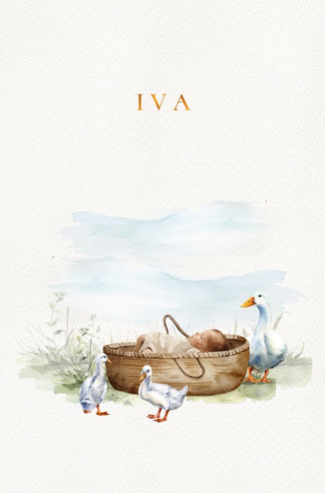 Geboortekaartje met mozeswiegje in een weiland. Sereen watercolor geboortekaartje met watercolor mozeswiegje en eendjes er omheen. De baby ligt lekker te slapen in het gras en de eenden scharrelen rond.