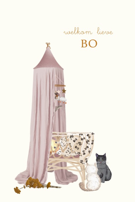 Een heel stijlvol geboortekaartje met babybed en hemeltje. Heel lief geboortekaartje waar je met de beeldbank zelf ook nog huisdieren aan toe kunt voegen zoals een kat. Een lief babybedje of babywiegje is een toepasselijk maar ook herkenbaar beeld voor ee