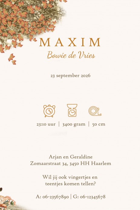 Geboortekaartje romantisch herfst bos met bosdieren zoals het hert, wasbeer en beren. Vogels en eekhoorn zitten in de boom in prachtige herfst kleuren. Een illustratie die niet zal vervelen. Vraag eens een gratis proefkaartje aan zodat je met eigen ogen d
