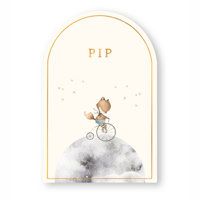 Geboortekaartje in boogvorm met lief beeld van een vosje op een fiets. Met de hand geschilderde illustratie en origineel geboortekaartje voor jullie pasgeboren baby. De zachte kleuren zijn sereen en dus ook geschikt voor als je meer van een rustig geboort