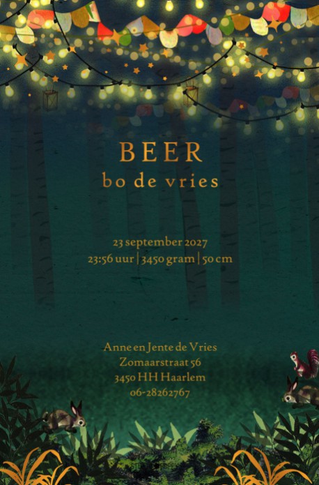 Lief geboortekaartje met hert, konijn, vos en beer die in het bos rond het wiegje staan. Een sfeerlvolle avond met gezellige lichtsnoeren in de bomen. Het kindje is geboren en ligt te slapen in mandje.