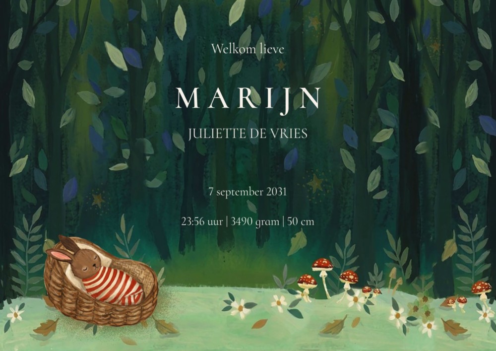 Een handgeschilderd geboortekaartje met illustratie van een konijnen familie in het bos. Ze staan bij een rode paddenstoel en de bladeren vallen van de bomen. Illustratief geboortekaartje in prachtige kleuren.