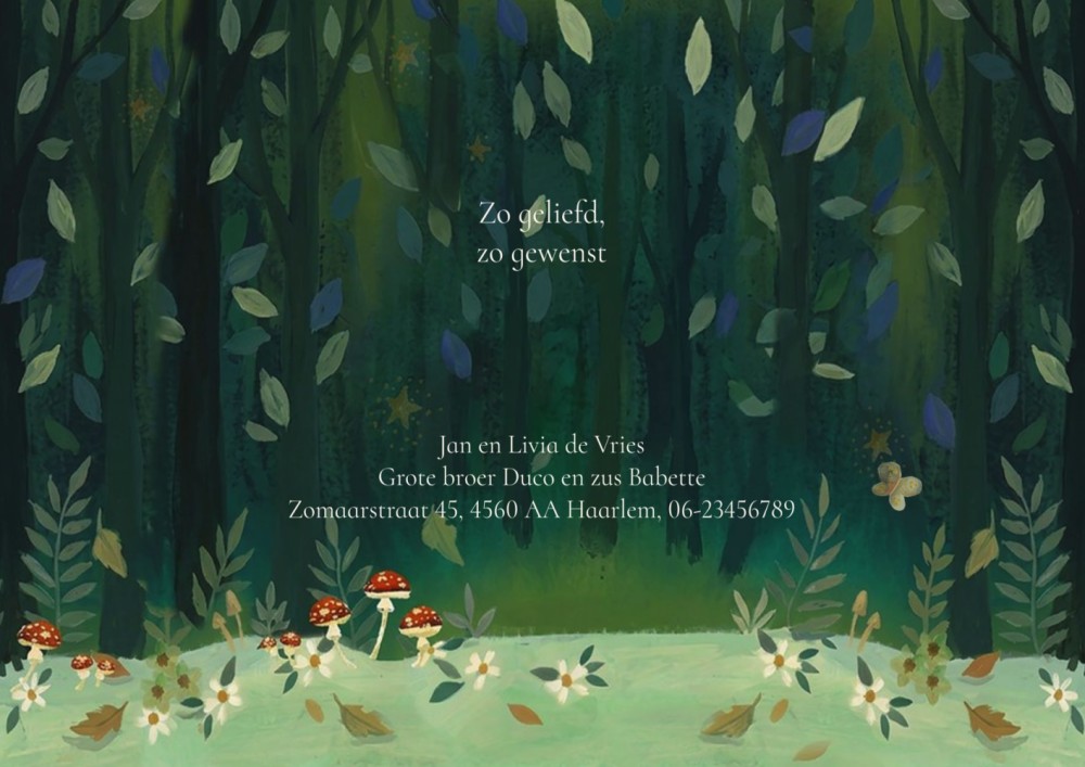 kaart binnenzijde links