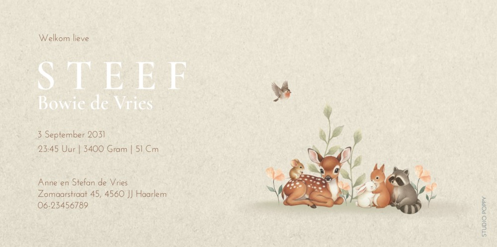 Geboortekaartje liggend breed formaat met naam. De bosdieren illustraties maken het een illustratief geboortekaartje waar e naam helemaal tot zijn recht komt. Hoe dan ook een uniek geboortekaartje dus.