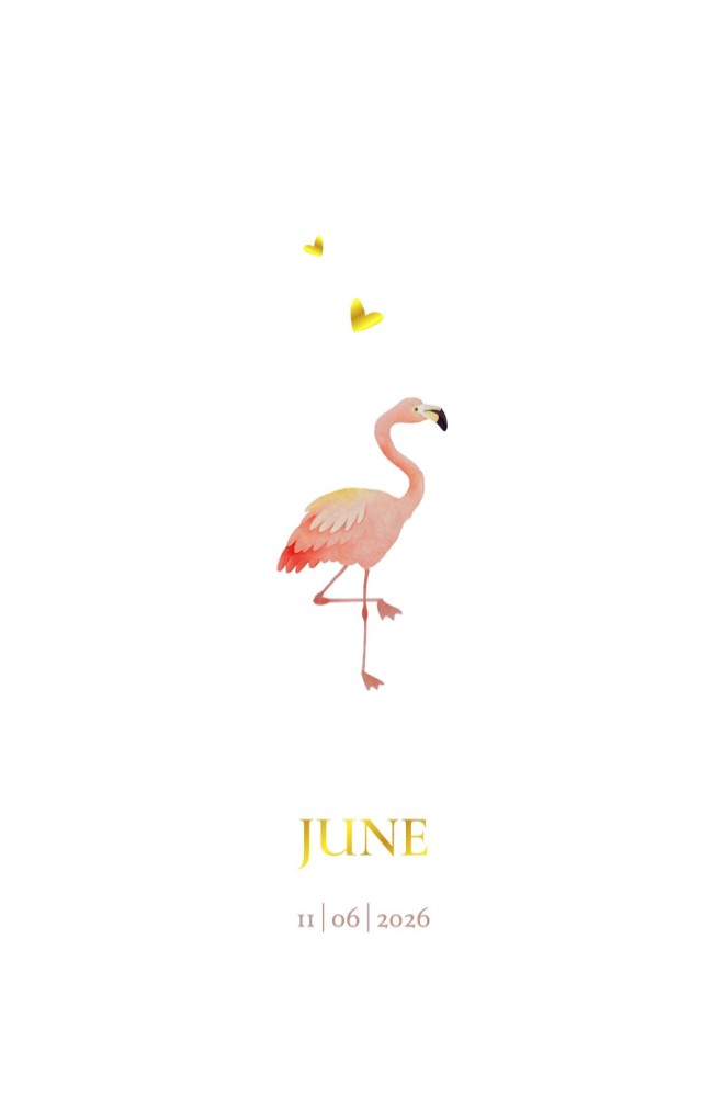 Geboortekaartje flamingo