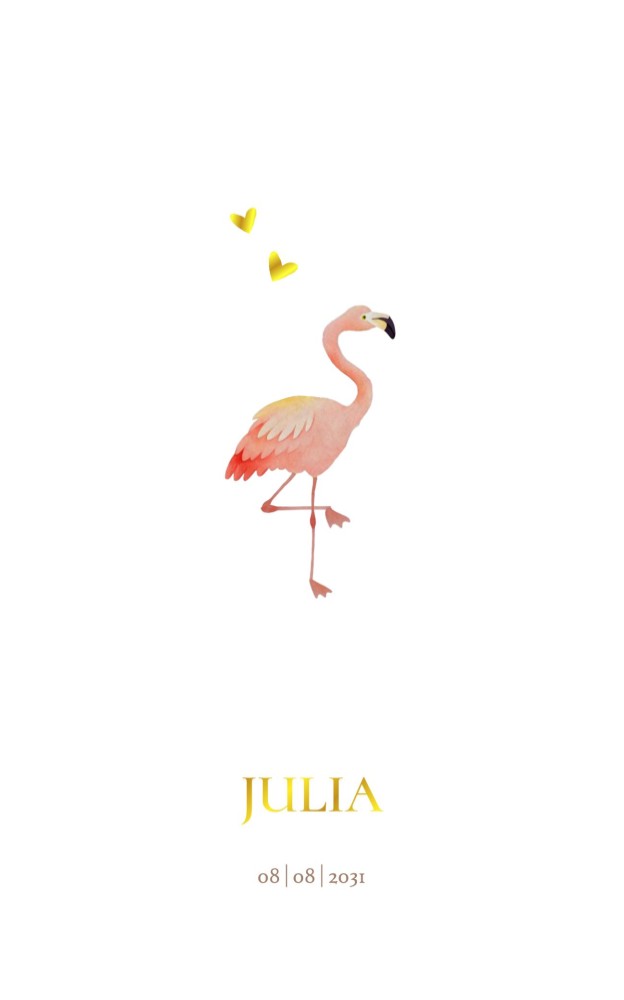 Geboortekaartje flamingo