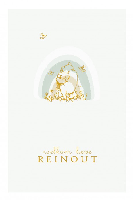 Geboortekaartje foliedruk regenboog Winnie the Pooh. Met vlindertjes en Knorretje. Vraag eens een gratis proefkaart aan en bekijk zelf eens de prachtige kwaliteit van het geboortekaartje. Een unieke aankondiging.