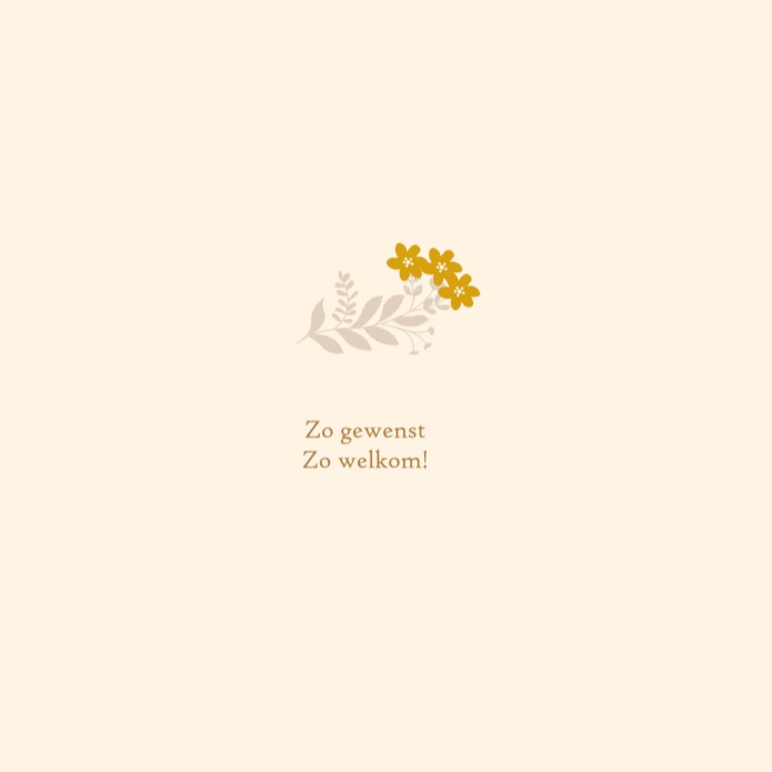 kaart binnenzijde links