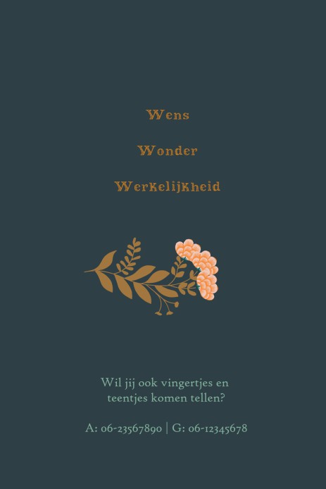 kaart binnenzijde links