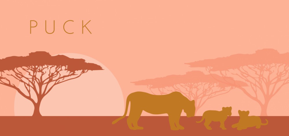 Een heel stijlvol geboortekaartje met leeuwen gezin in warme kleuren, thema Afrika. Je kunt een leeuw toevoegen of weghalen. Mooiste papiersoorten voor een uniek geboortekaartje. In de editor kun je zelf jouw favoriete kleuren en lettertypen selecteren. M