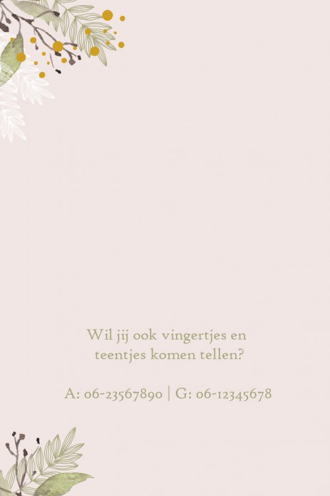 kaart binnenzijde links