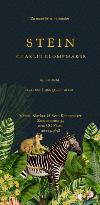kaart achterzijde