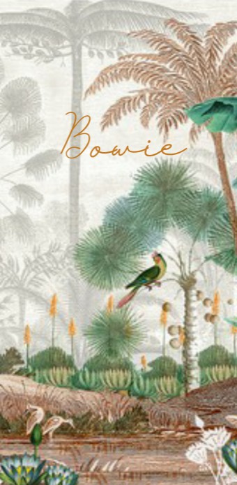 Geboortekaartje jungle botanisch staand model. Jungle geboortekaartje met weelderige planten en jungle dieren is een bijzonder geboortekaartje voor jullie kindje. Illustratief en heel erg hip. Met de online editor kun je zelf aan de slag om hem helemaal u