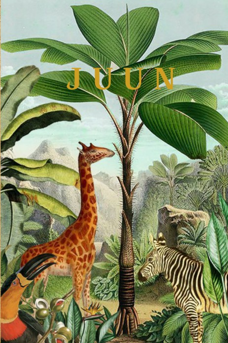 Geboortekaartje jungle tropisch met giraffe en zebra