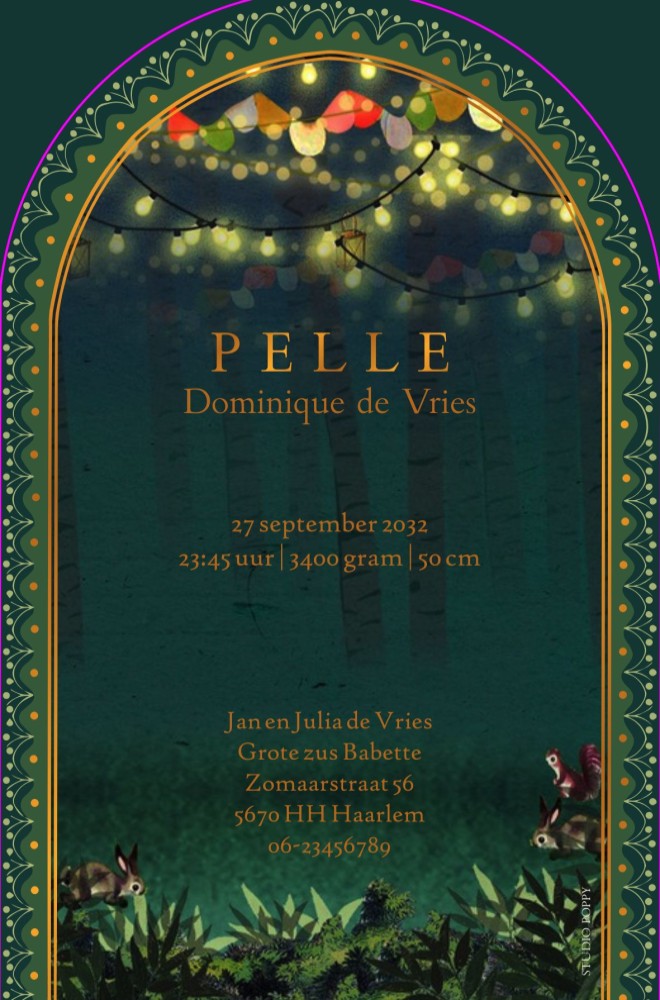 Geboortekaartje met prachtig kader in boogvorm