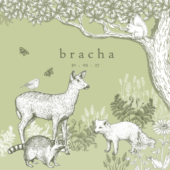 Uniek geboortekaartje met dieren uit het bos. Prachtige met de hand getekende illustraties in warme ton sur ton tonen. De kleuren matchen prachtig met elkaar en zorgt voor een sereen illustratief geboortekaartje. Een bosdieren geboortekaartje waar je als 