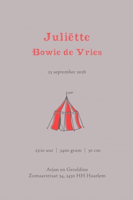 Een heel bijzonder geboortekaartje in offset look met neon look accenten. Vintage circus met tijger, pierrot, olifant en circustent op een smaakvolle manier geïllustreerd. Circus spreekt tot de verbeelding, een magische wereld dat zich ook leent voor mooi