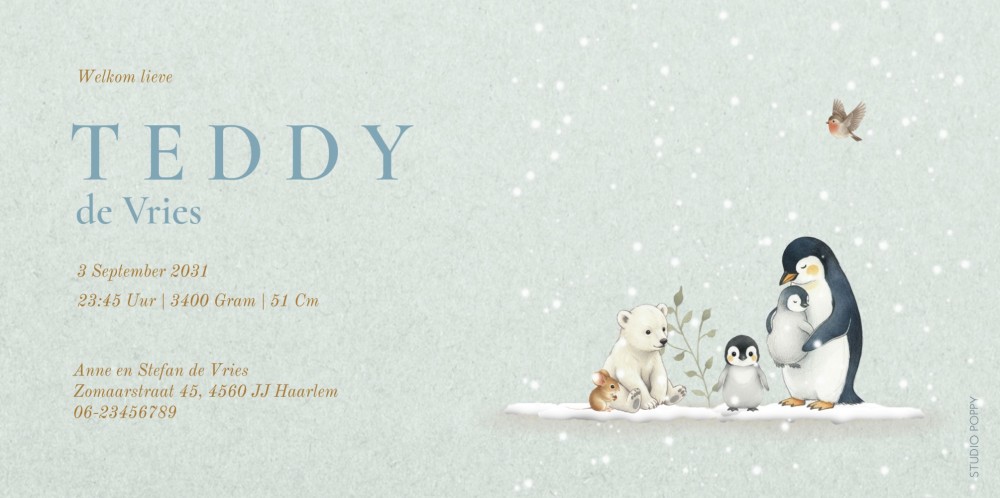 Geboortekaartje met naam in winter thema. Een ijsbeer, pinguïn en eekhoorn lopen in de sneeuw. De naam is aanpasbaar en de kaart is van kleur te veranderen. Het liggende brede formaat geboortekaart biedt plek genoeg voor een naam.