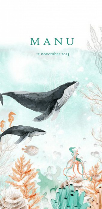 Geboortekaartje walvis onderwater wereld