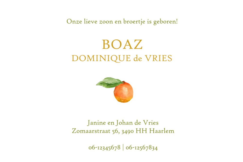 Wat is er zomerser dan een geboortekaartje met prachtig geaquarelleerde peer en citrus fruit? Prachtige kleuren spatten van het kaartje af. Met de handige editor tool kun je zelf jouw teksten aanpassen, kleuren veranderen en gebruik maken van de beeldbank
