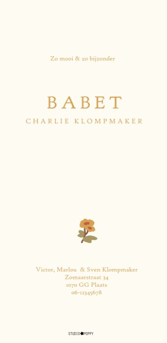 Een bijzonder geboortekaartje met handgeschilderde bloementakjes. Een romantisch, lief geboortekaartje dat ongetwijfeld tijdloos is. Klassiek maar wel op een nieuwe bijzondere manier. In de designtool kun je zelf aan de slag met verschillende lettertypes 