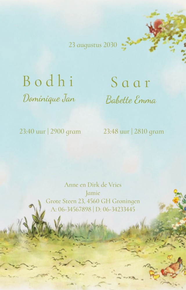 Prachtige illustratie met mozeswiegje in de tuin met een tweeling. Grote broer komt bloemen brengen en de dieren kijken nieuwsgierig wie er geboren is. Lieve illustraties van dieren en planten en boom.