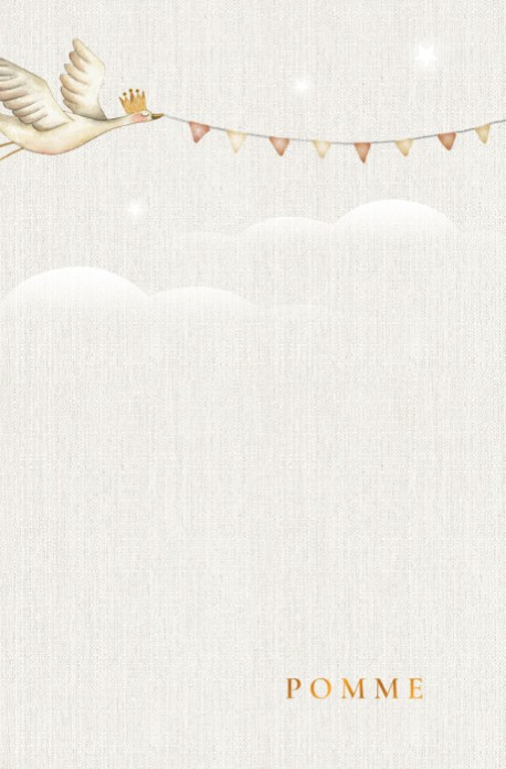 Geboortekaartje met ooievaar en vlaggenlijn. Rustig en sereen geboortekaartje in zachte kleuren. De wolken en sterretjes maken de vogel in de lucht helemaal compleet.