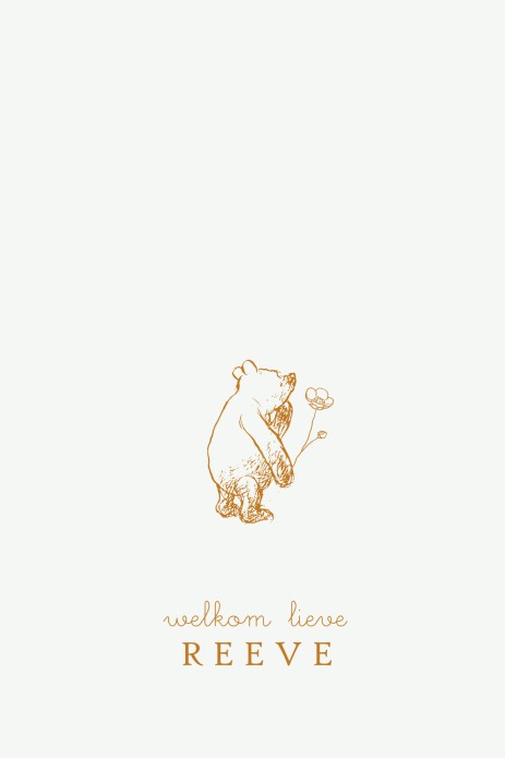 Geboortekaartje Winnie the Pooh