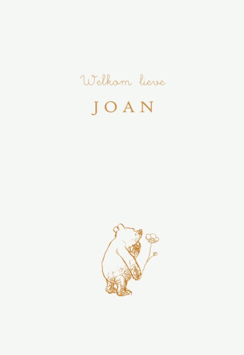 Geboortekaartje Winnie the Pooh