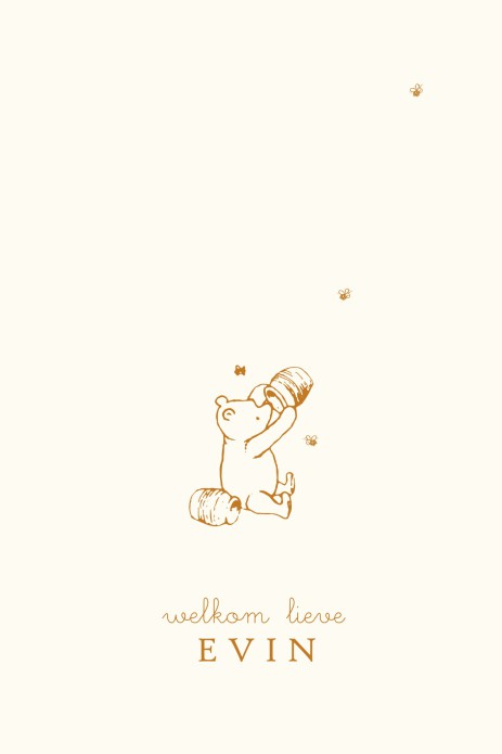 Geboortekaartje Winnie the Pooh