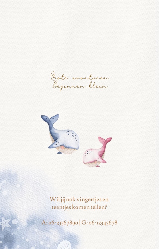 kaart binnenzijde links