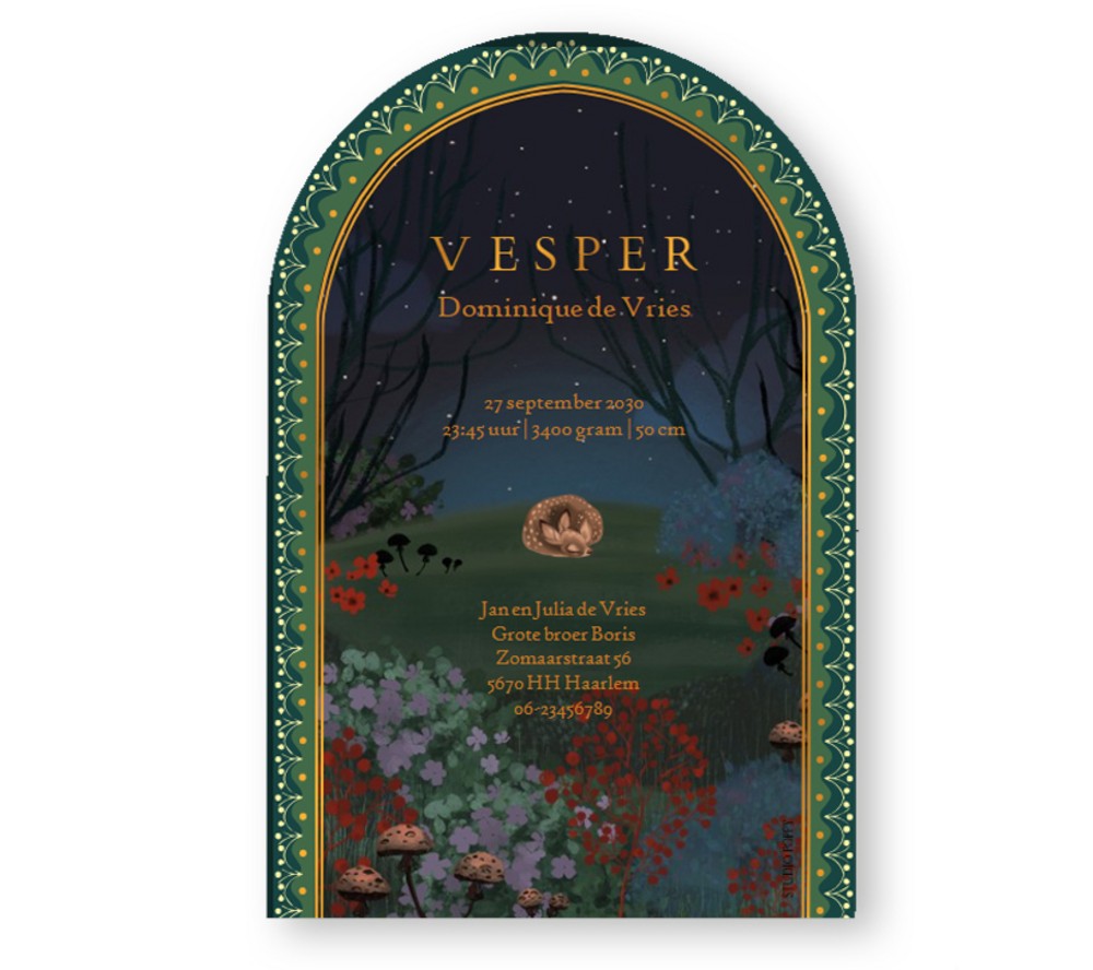 Geboortekaartje droom bos met broer en zus. De dieren kijken nieuwsgierig in de nacht wat er aan de hand is in het bos.