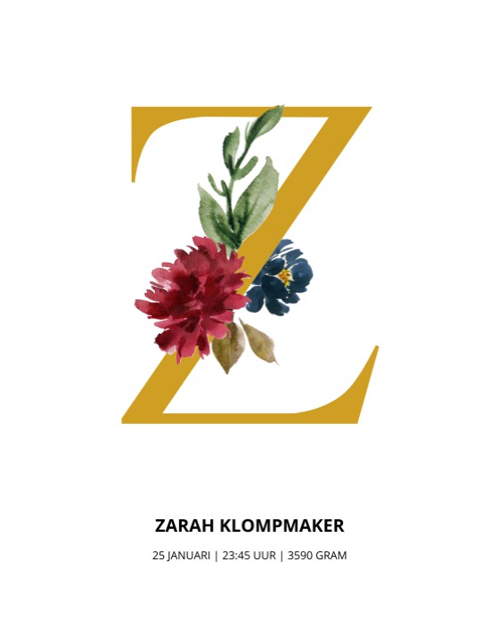 Geboorteposter monogram