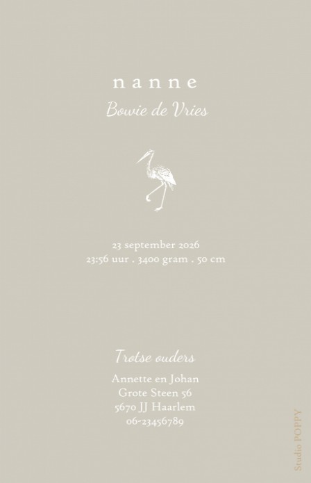 Klassiek geboortekaartje met foto en ooievaar. De typografie met 'Welkom' maakt het een ècht design kaartje! Kleine botanische takjes erbij en jouw klassieke foto geboortekaartje met een twist is een feit. Prachtige papiersoorten en enveloppen beschikbaar