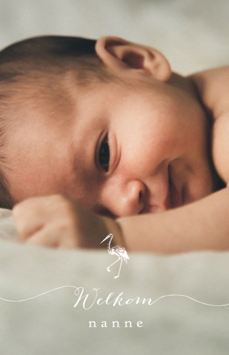 Klassiek geboortekaartje met foto en ooievaar. De typografie met 'Welkom' maakt het een ècht design kaartje! Kleine botanische takjes erbij en jouw klassieke foto geboortekaartje met een twist is een feit. Prachtige papiersoorten en enveloppen beschikbaar