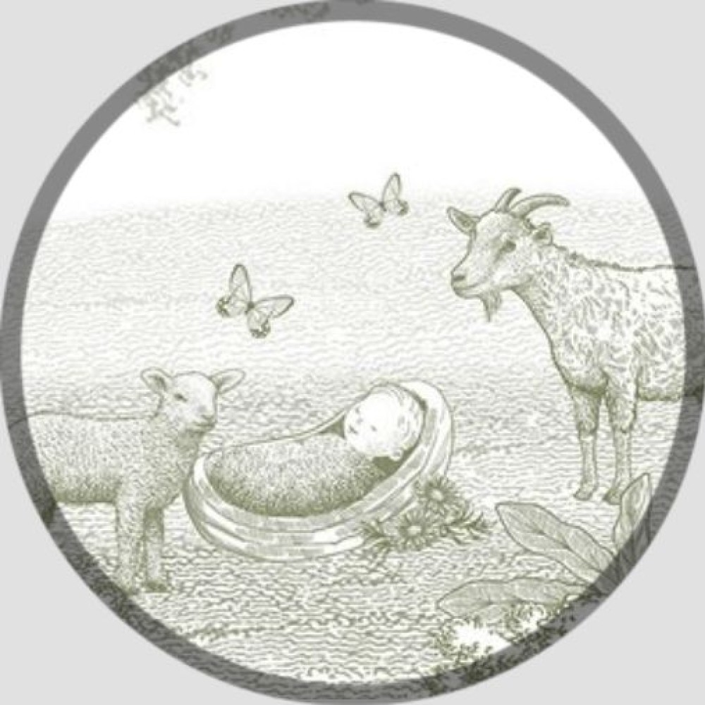 Sluitsticker mandje met baby groen