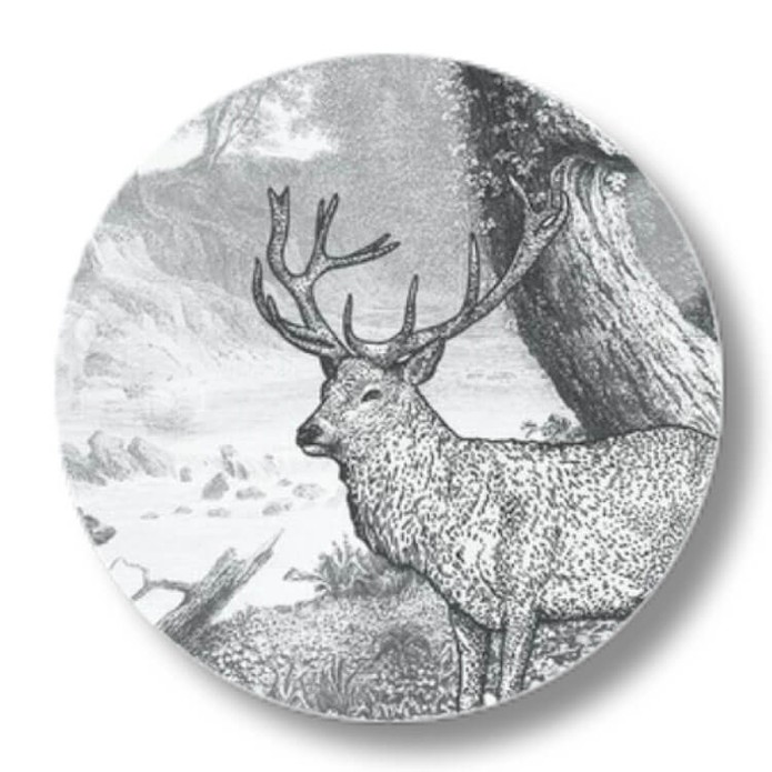 Sluitsticker beren