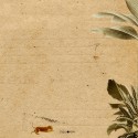 Geboortekaartje leeuwen familie savanne achter