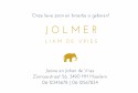 Geboortekaartje beer mono met foliedruk binnen