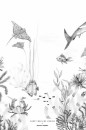 Geboortekaartje 'Underwater Wonders' van Annet Weelink Design achter