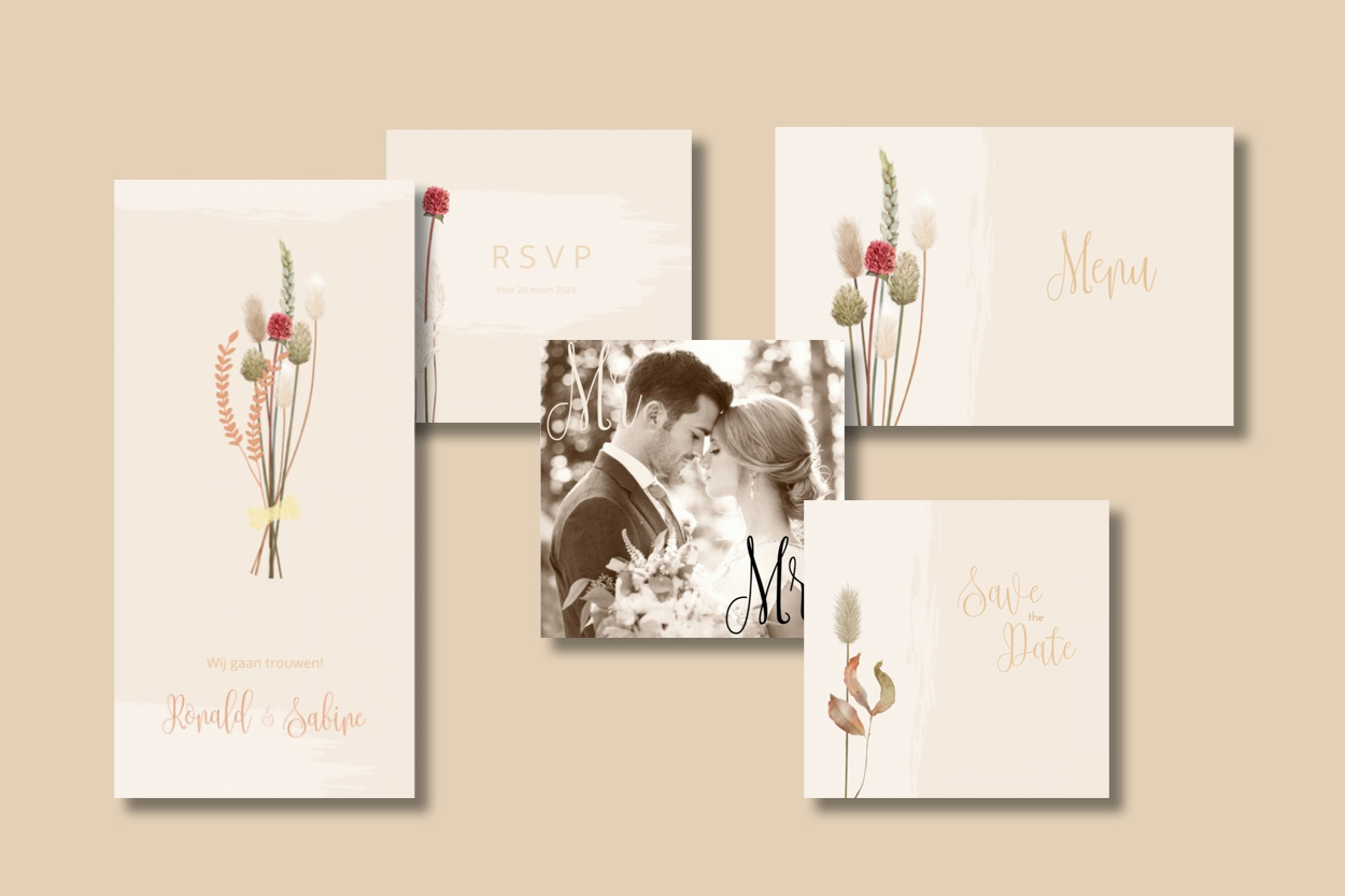 Huisstijl rustic chic droogbloemen